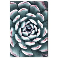 Wynwood Studio 'Könnyű zamatos közeli III' virág- és botanikus fali művészet vászon nyomtatás - zöld, rózsaszín, 24