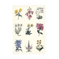 Vision Studio 'Antik Floral Chart' Canvas Art