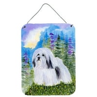 Carolines Treasures SS1034DS Havanese falra vagy ajtóra függesztett nyomatok, 12x16, Többszínű