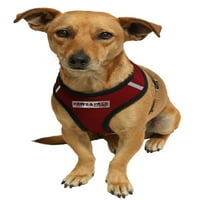 Paws & Pals Pet Control hám kutya & macska könnyű puha séta gallér, Kapható S, L, XL