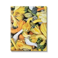 Stupell Industries vegyes őszi tökök elrendezése fotógaléria csomagolt vászon nyomtatott fali művészet, design by lil