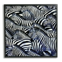 Stupell Industries zsúfolt zebra csorda fekete csíkok állatok festés grafikus művészet fekete keretes művészet nyomtatott