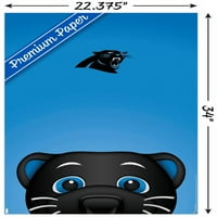 Carolina Panthers - S. Preston kabalája Sir Purr Wall poszter, 22.375 34