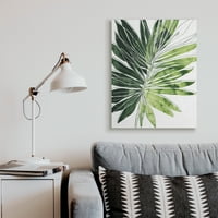 Stupell Industries Zöld Pop Palm Levels Expressive Linework Wall Art, 40, Design by June Erica Vess