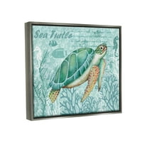 Stupell Industries Coral Boanded Sea Turtle Seahorse forgatókönyv kalligráfia grafikus csillogás szürke úszó keretes