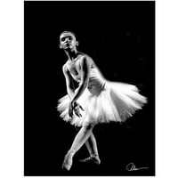 Védjegy Art Ballerina XVI Canvas Art készítette: Martha Guerra, 18x24