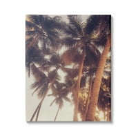 Stupell Indprides Sun Fehérített pálmafa teteje Vintage Summer Sky, 20, Acosta tervezése