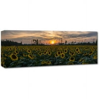 Védjegy Szépművészet Sunset Sunflowers 2 Canvas Art készítette: Kurt Shaffer