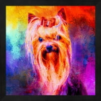 Nagy művészet most Jazzy Yorkshire Terrier Jai Johnson keretes fal Art 13 W 13 H