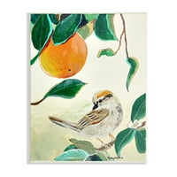 Stupell Industries madár ült Narancs gyümölcsfa ág levelek festés keret nélküli Művészeti nyomtatás fal művészet, Design