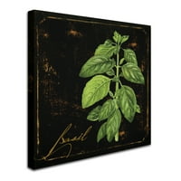 Védjegy Képzőművészet Fekete Arany Herbs IV Canvas Art by Color Bakery